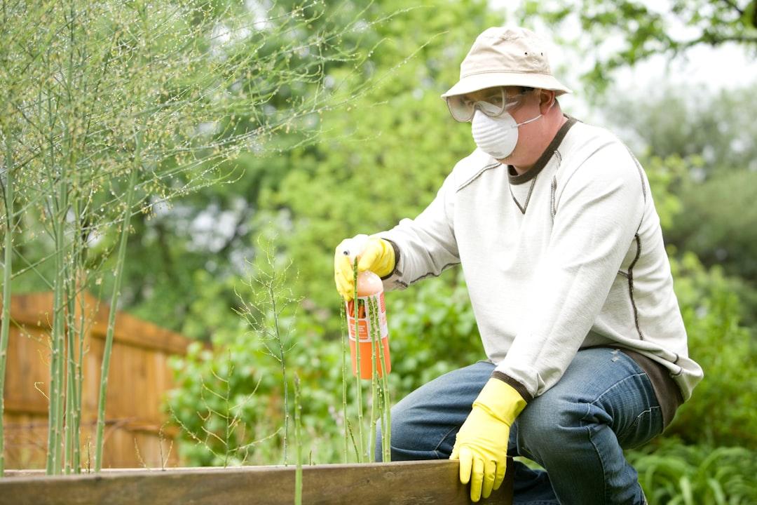 Pest Control & Exterminator Services