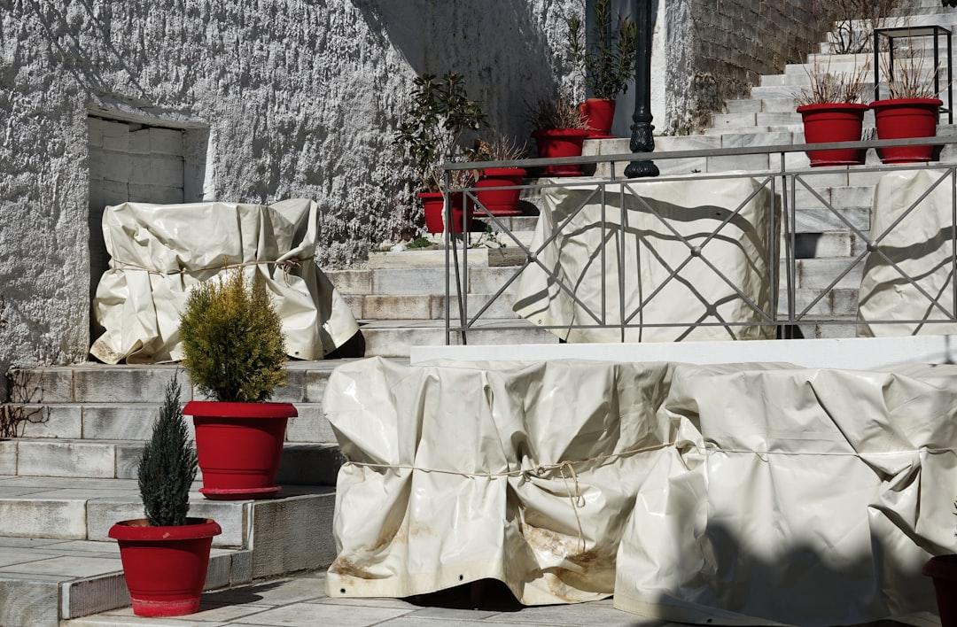 a bunch of potted plants sitting on some steps