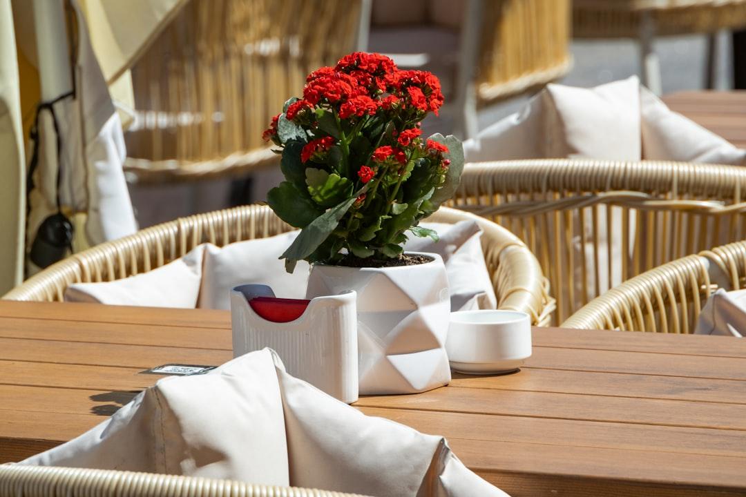 A bright red flower sits on a café table.