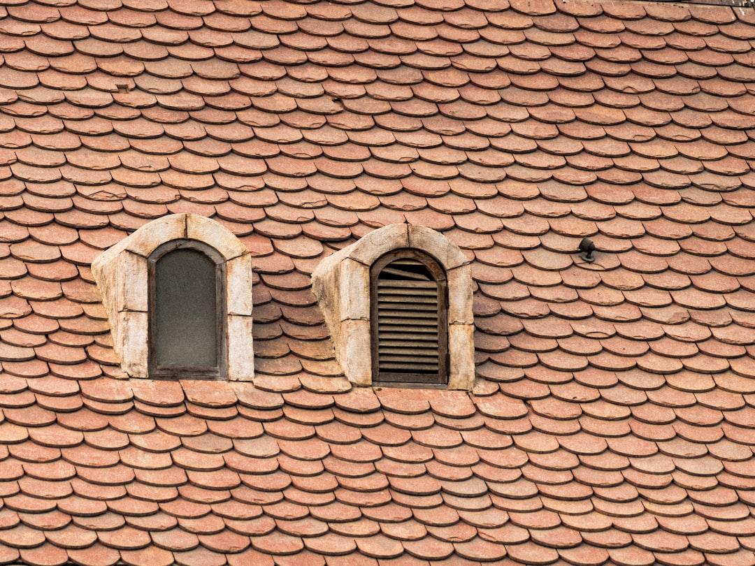 two windows on the roof of a building