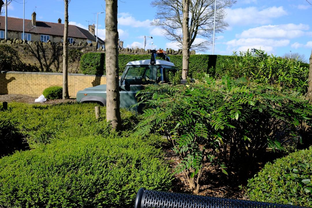 A green land rover is parked amongst greenery.