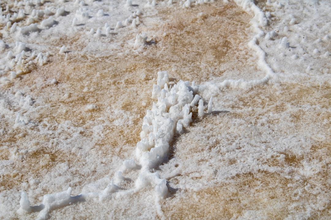 A close up of a piece of food on a table