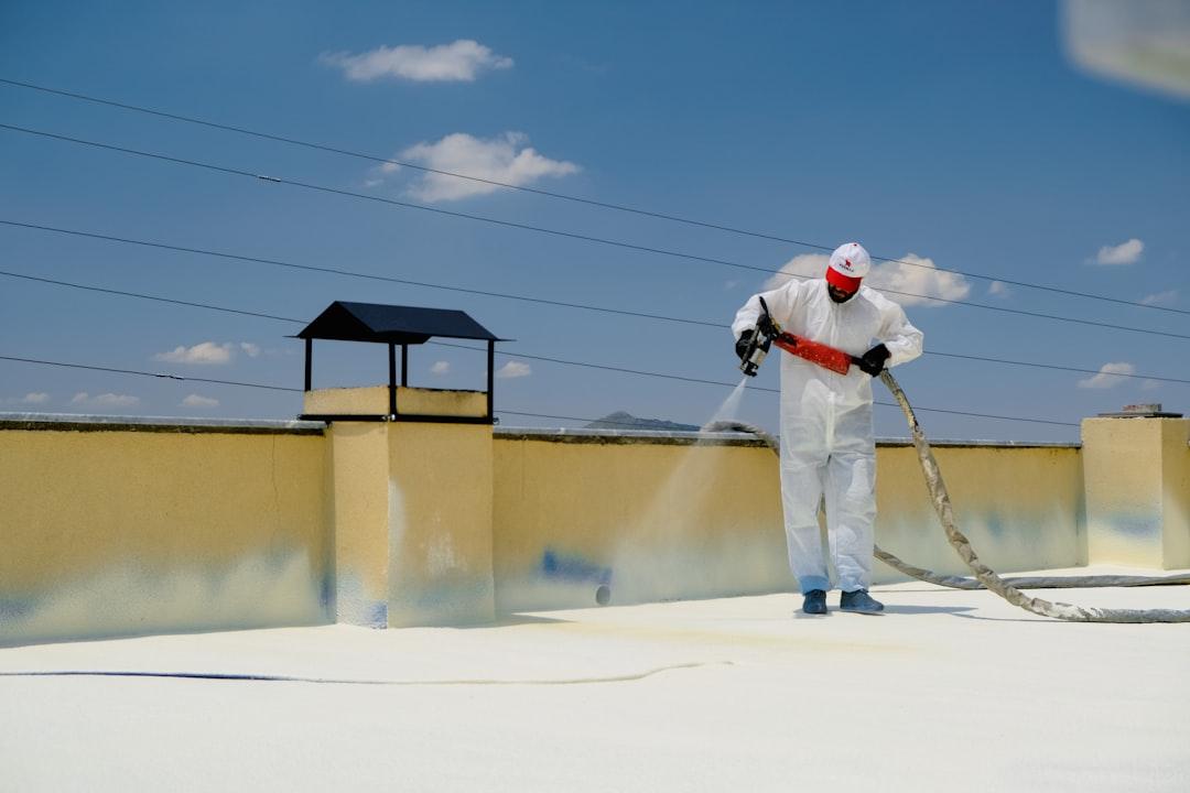 Roof Cleaning Services