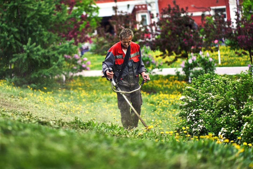 Garden Cleaning Services