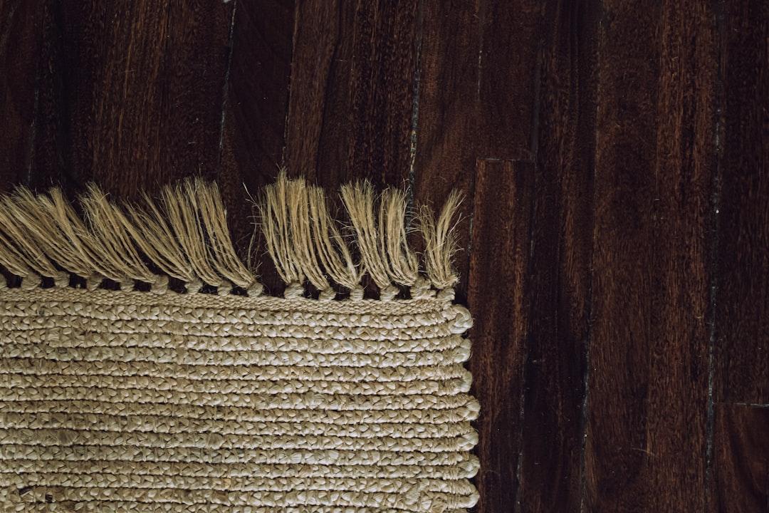 Professional Upholstery Cleaner Services