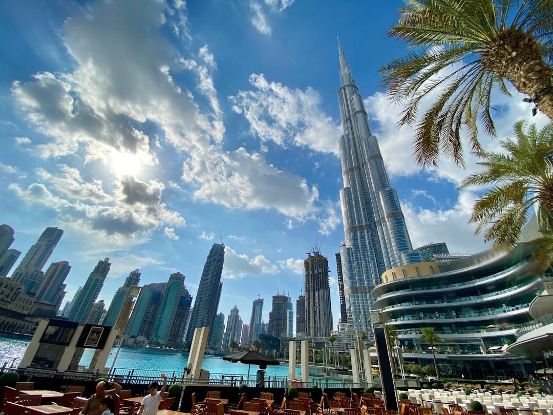 Pest Control in Dubai