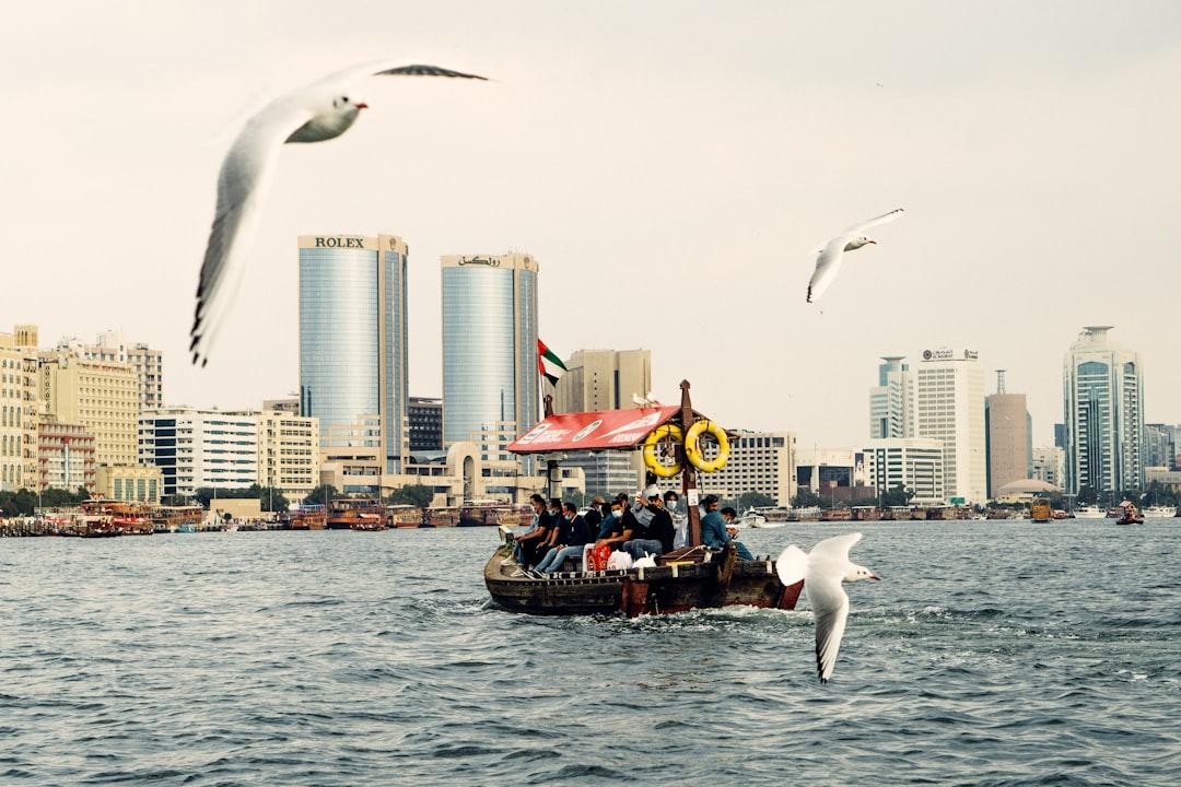 Pest Control in Bur Dubai