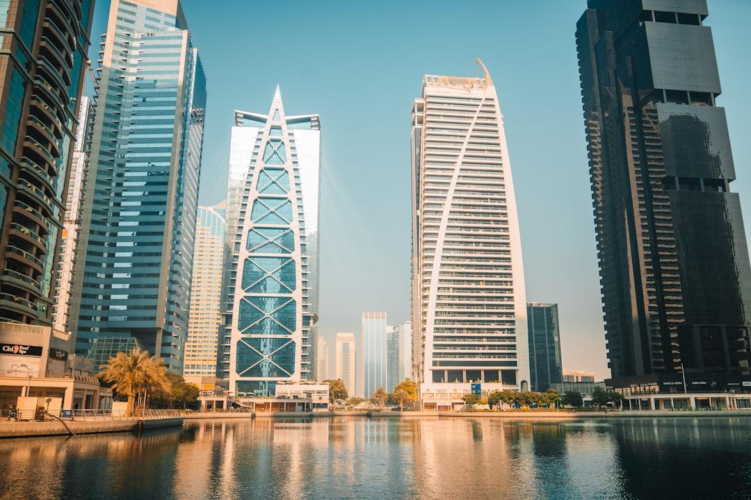 Pest Control in International City