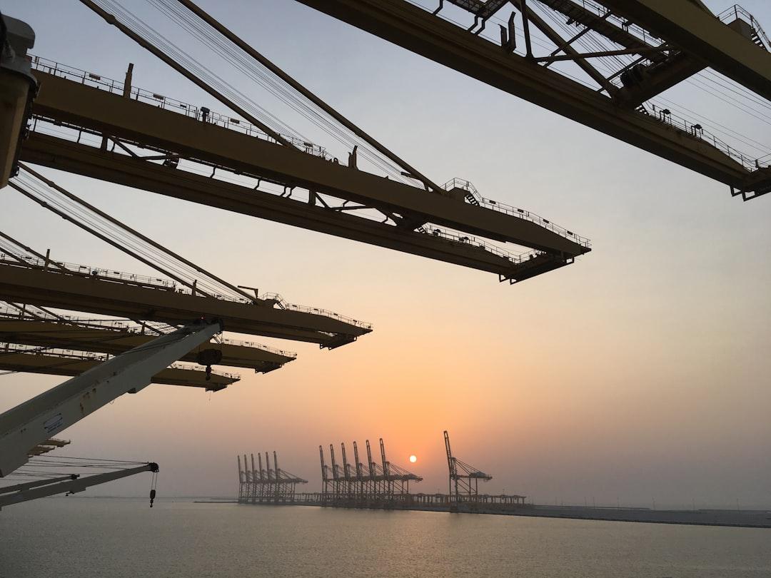 Pest Control in Jebel Ali