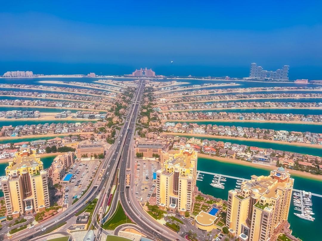 Pest Control in Palm Jumeirah