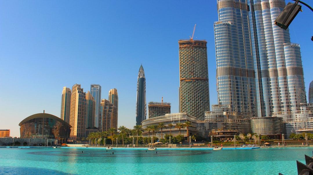 Pest Control in Fujairah