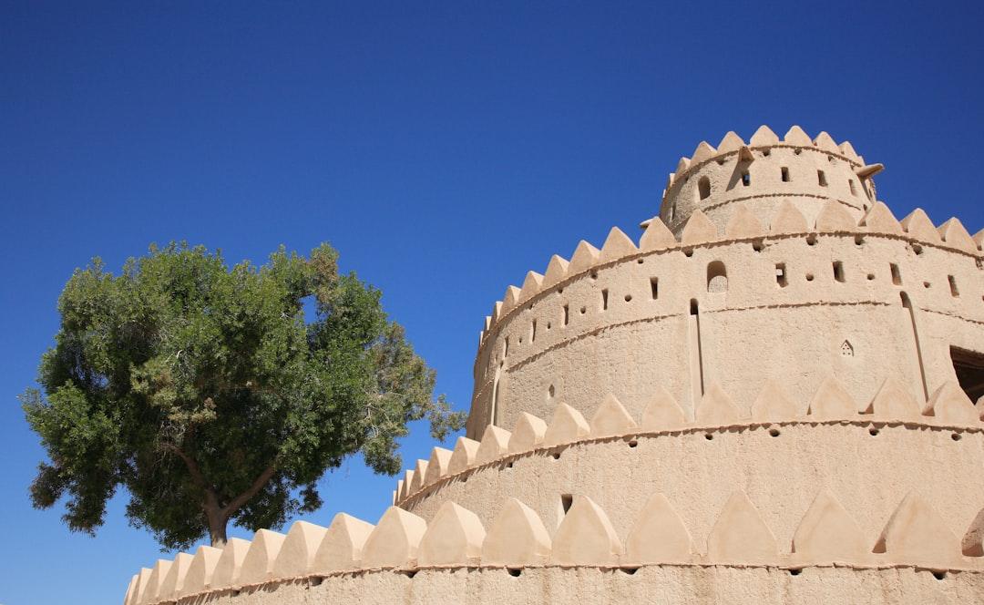 Pest Control in Al Ain